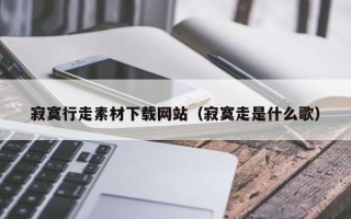 驻马店寂寞行走素材下载网站（寂寞走是什么歌）